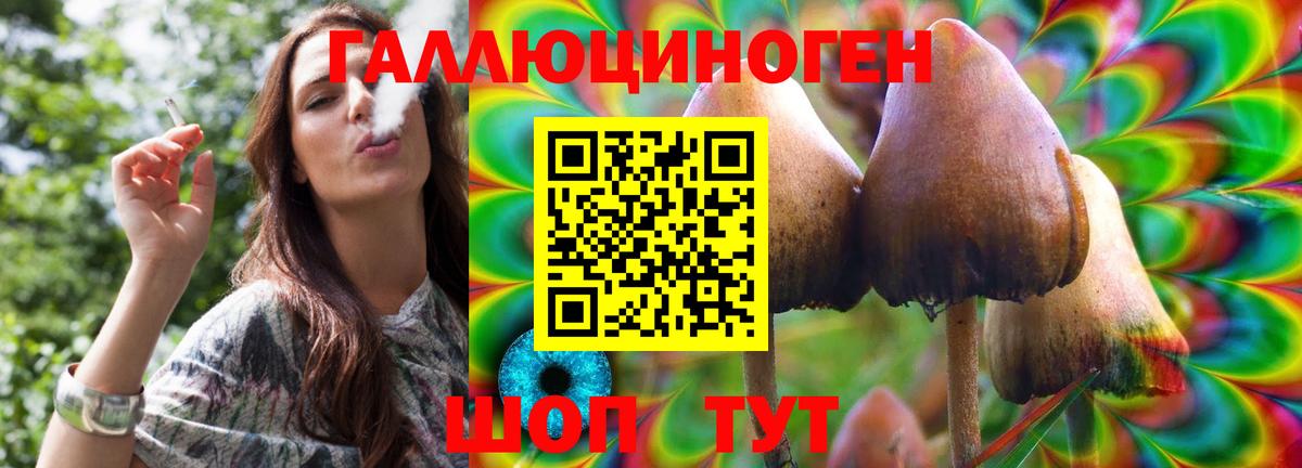Псилоцибиновые грибы прущие грибы Шумерля